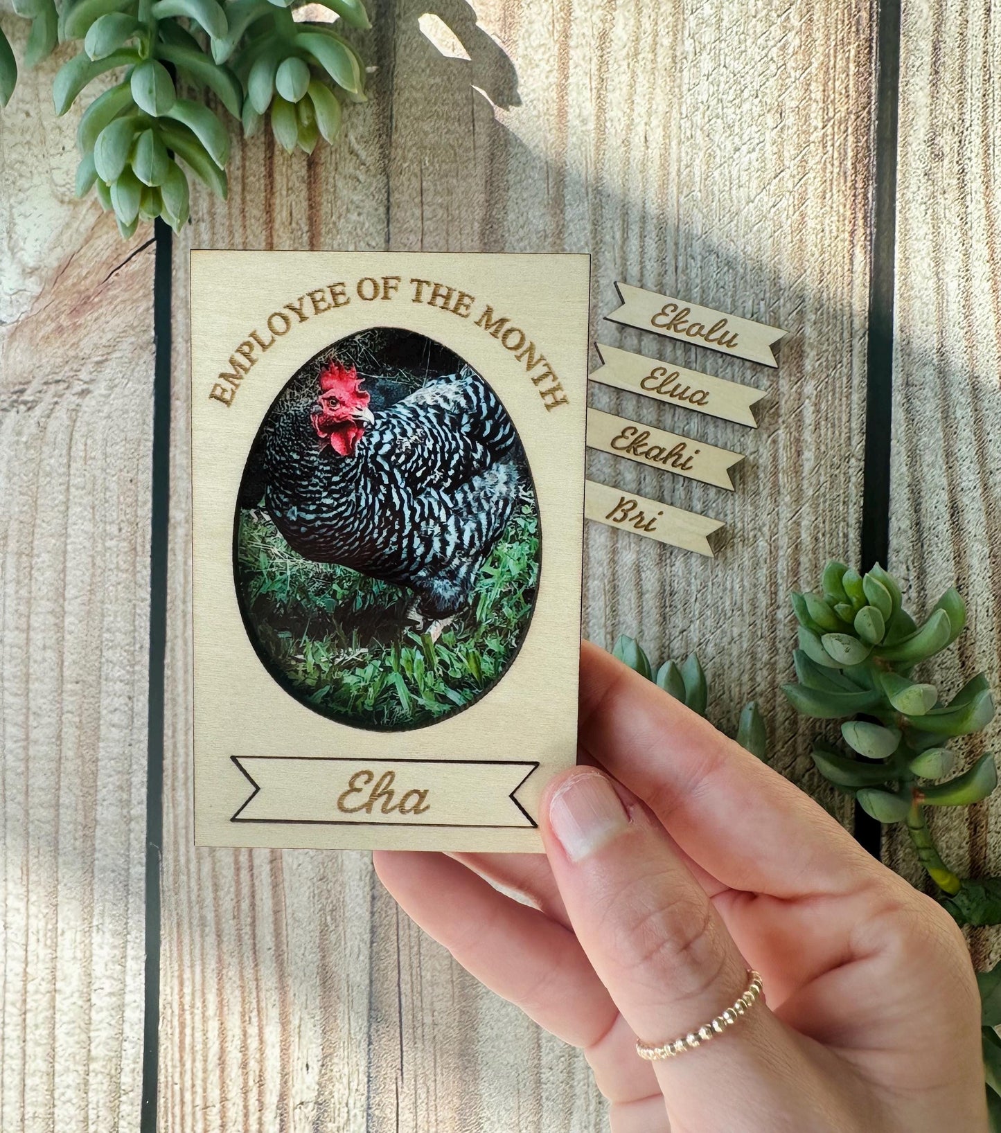 Chicken Employee Of The Month Sign