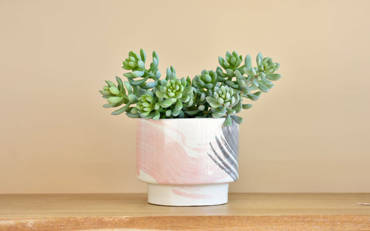 Hand Painted Planter Pot