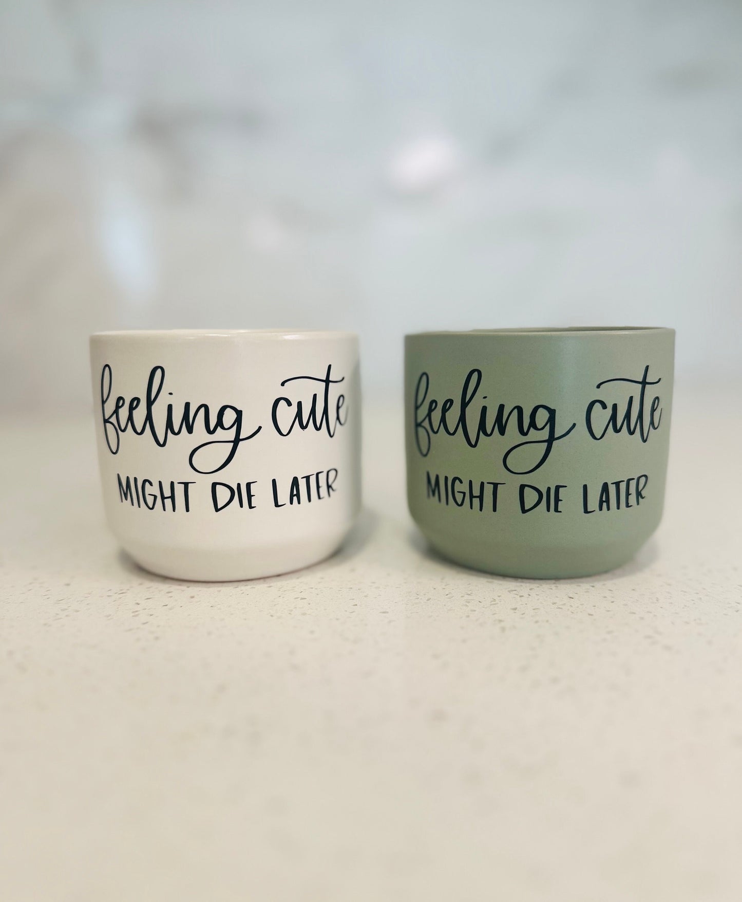 Feeling Cute Might Die Later Succulent Plant Pot