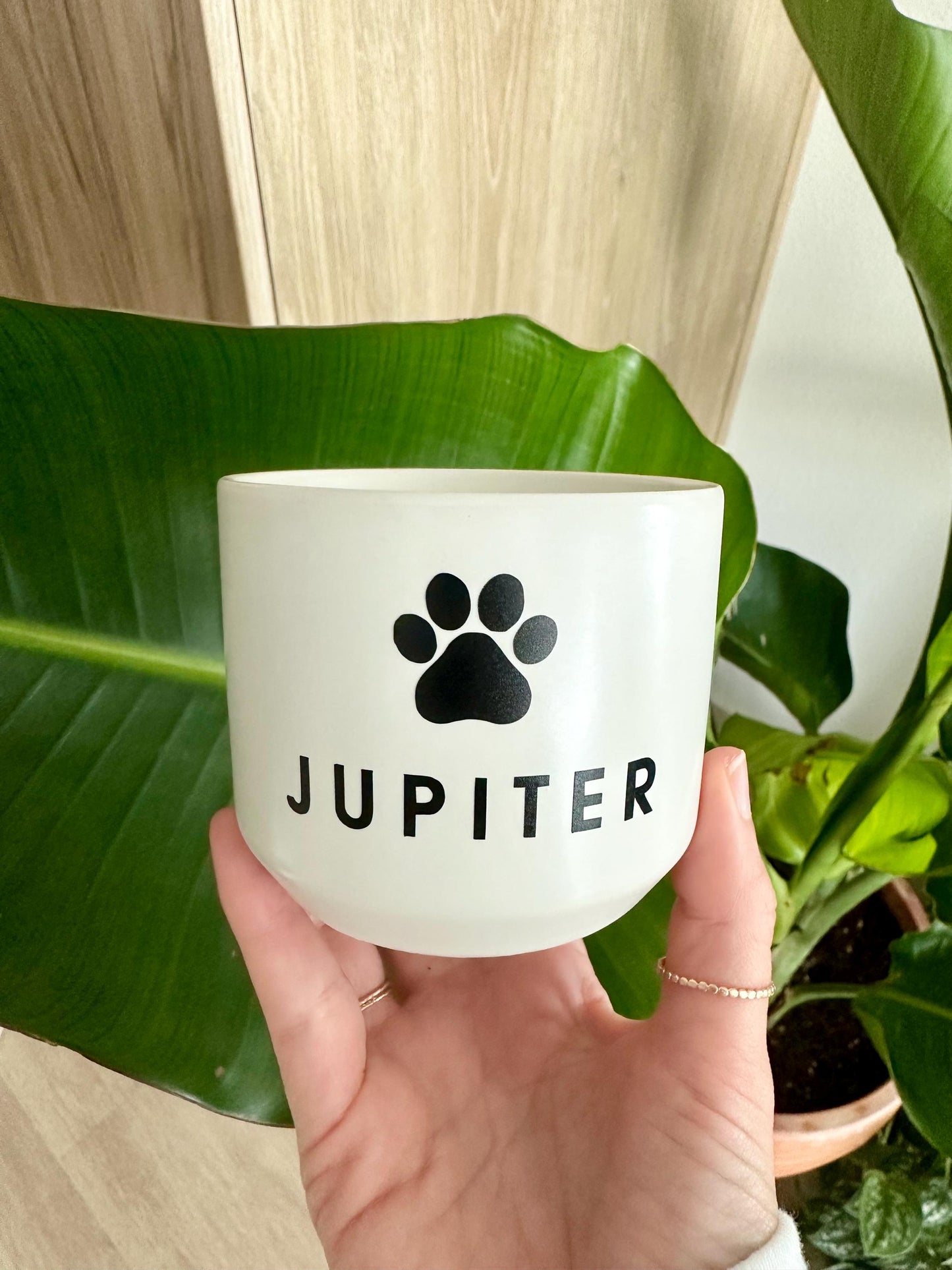Personalized Pet Memorial Succulent Plant Pot