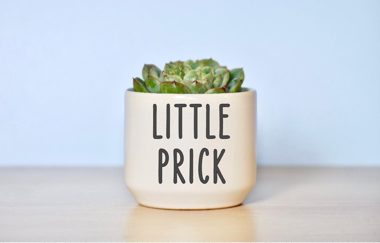 Little Prick Succulent Plant Pot