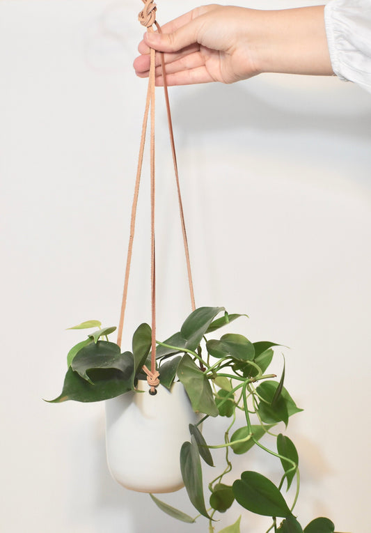White Ceramic Hanging Ceiling Planter