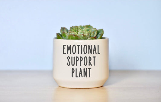 Emotional Support Succulent Plant Pot