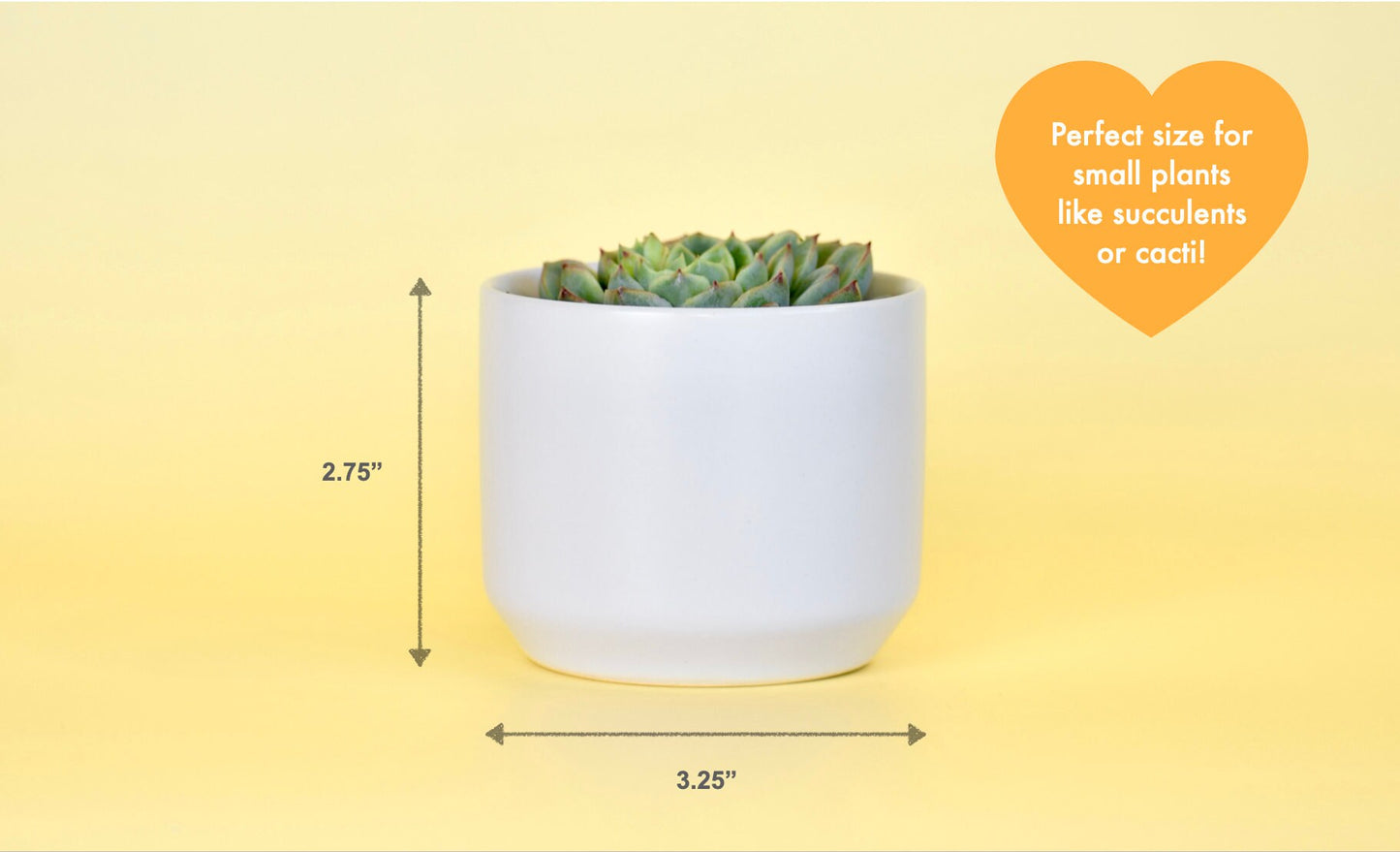 Thank You For Helping Me Grow Succulent Plant Pot