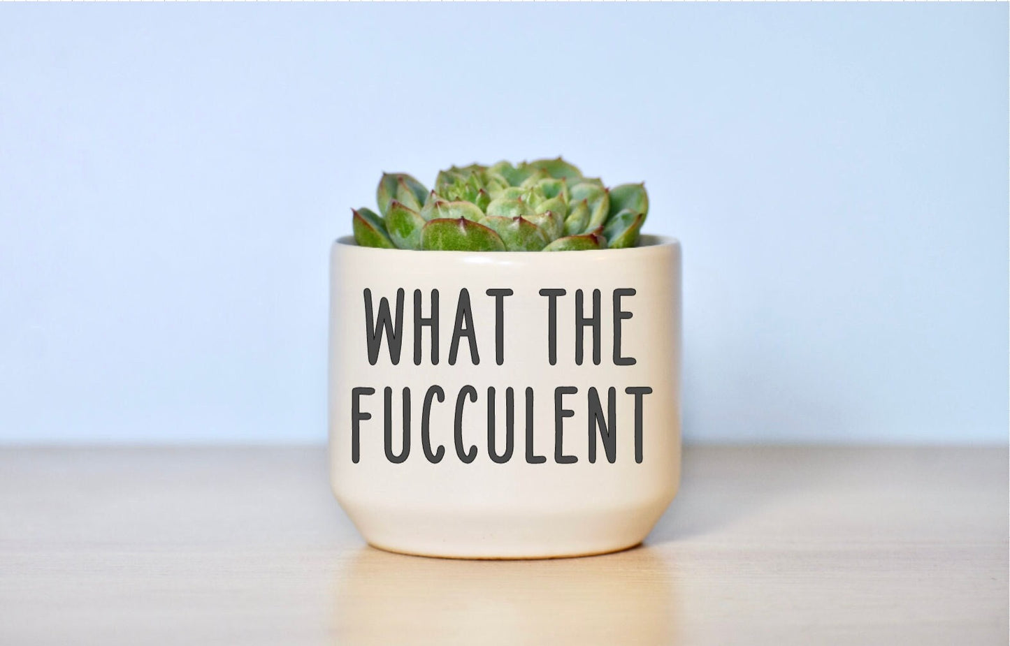 What The Fucculent Succulent Plant Pot