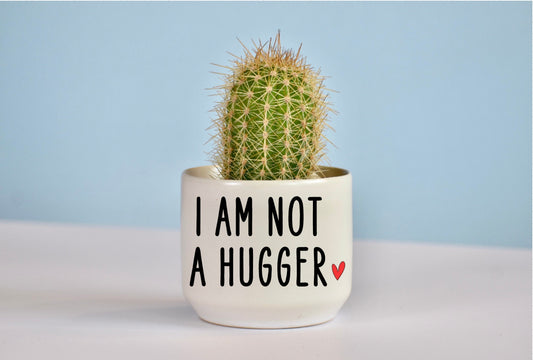 I Am Not A Hugger Succulent Plant Pot