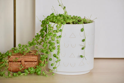 Tatas Hand Carved Plant Pot