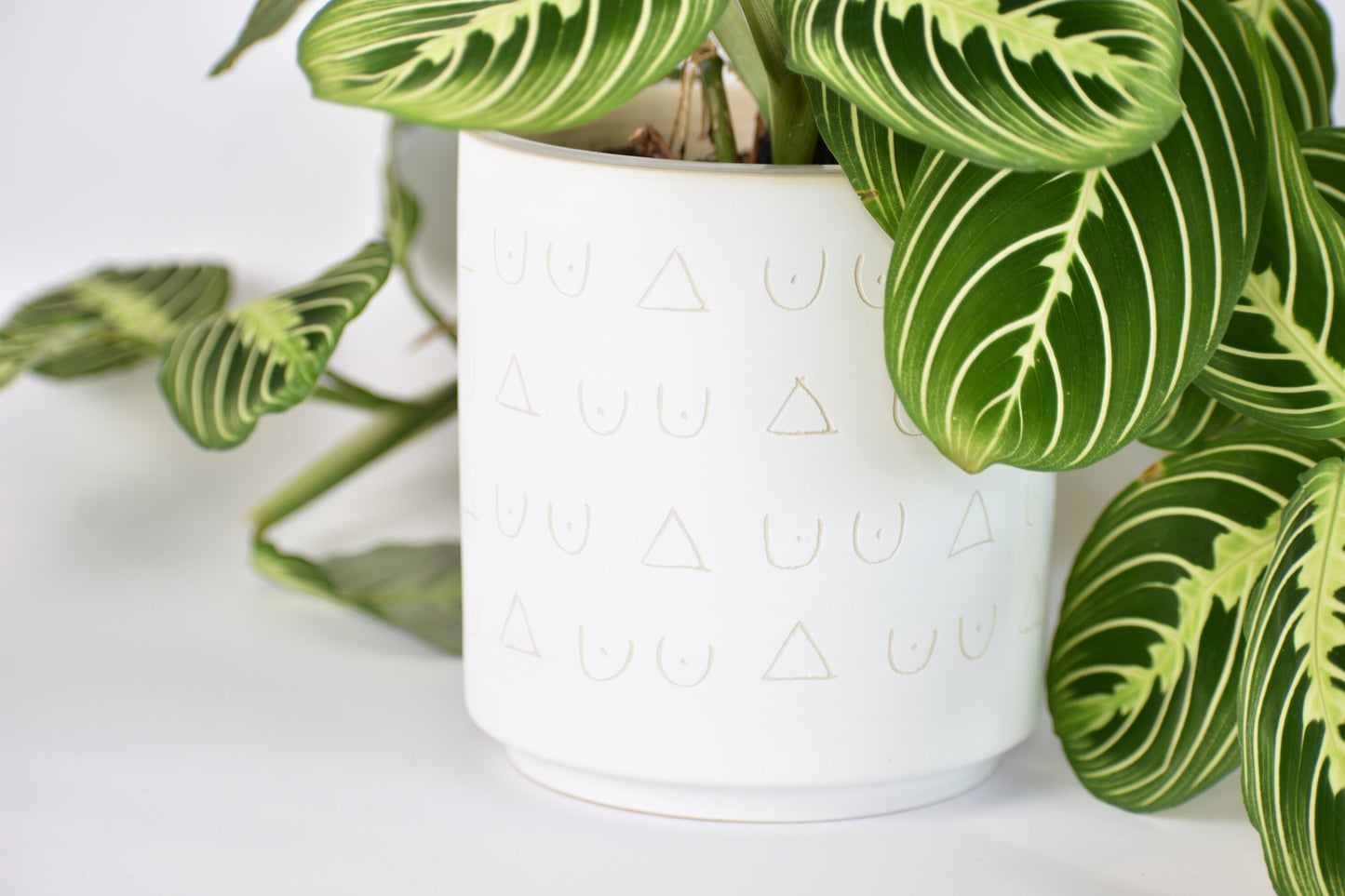 Tatas Hand Carved Plant Pot