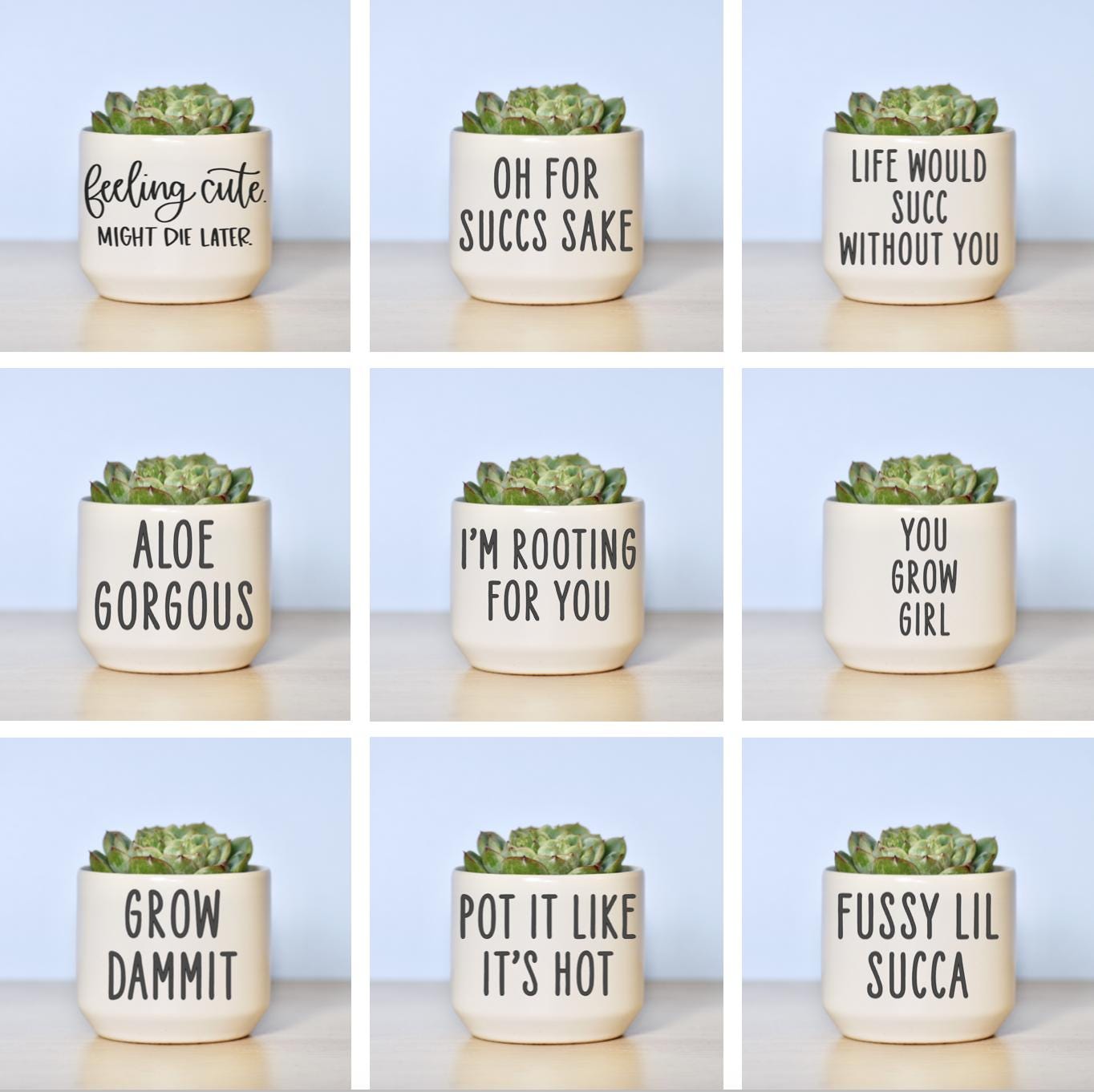 Custom Ceramic Plant Pot