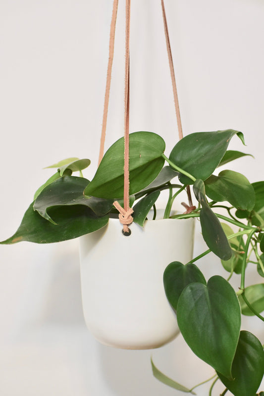 White Ceramic Hanging Ceiling Planter