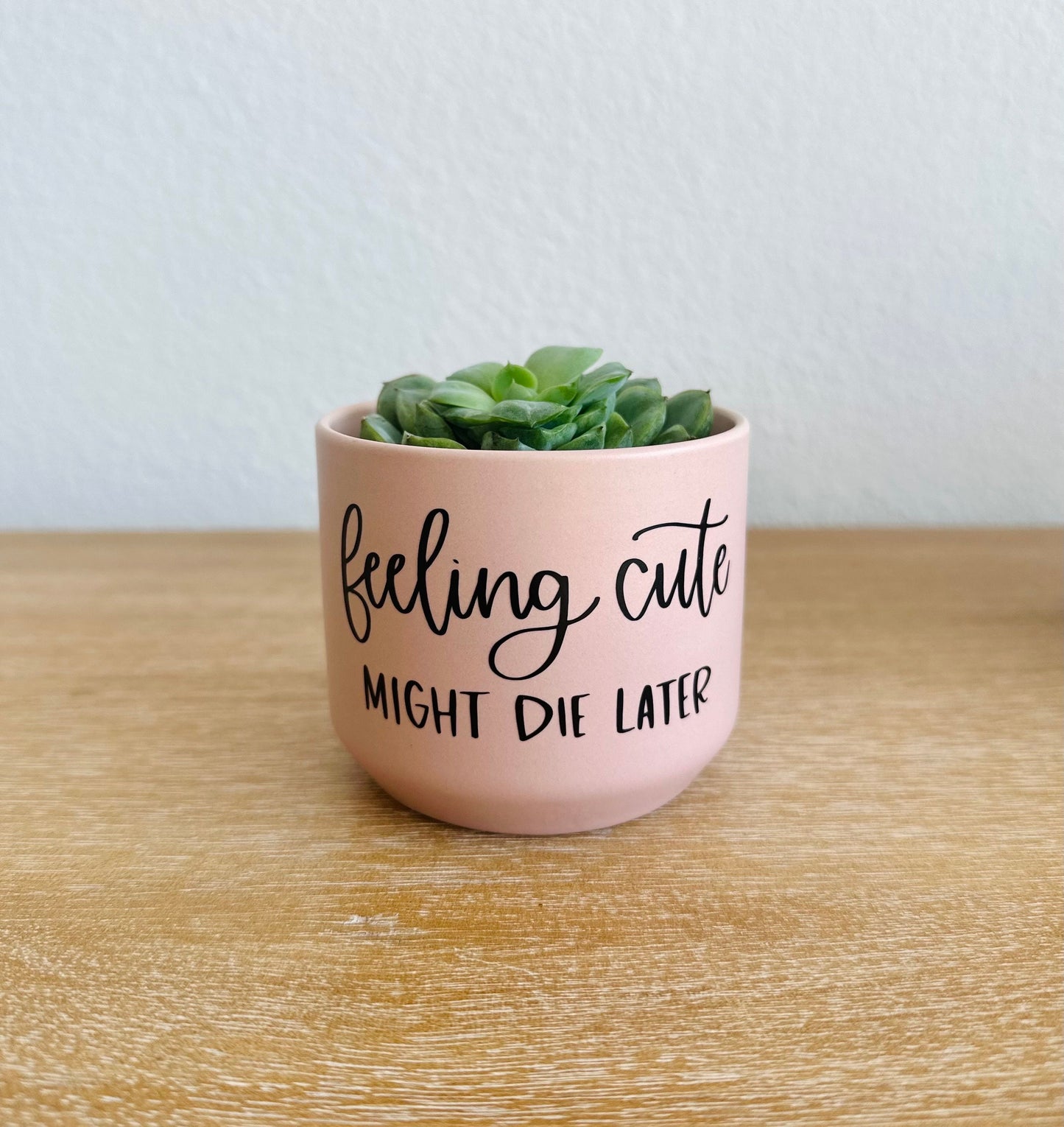 Feeling Cute Might Die Later Succulent Plant Pot