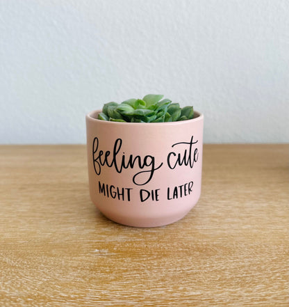 Feeling Cute Might Die Later Succulent Plant Pot