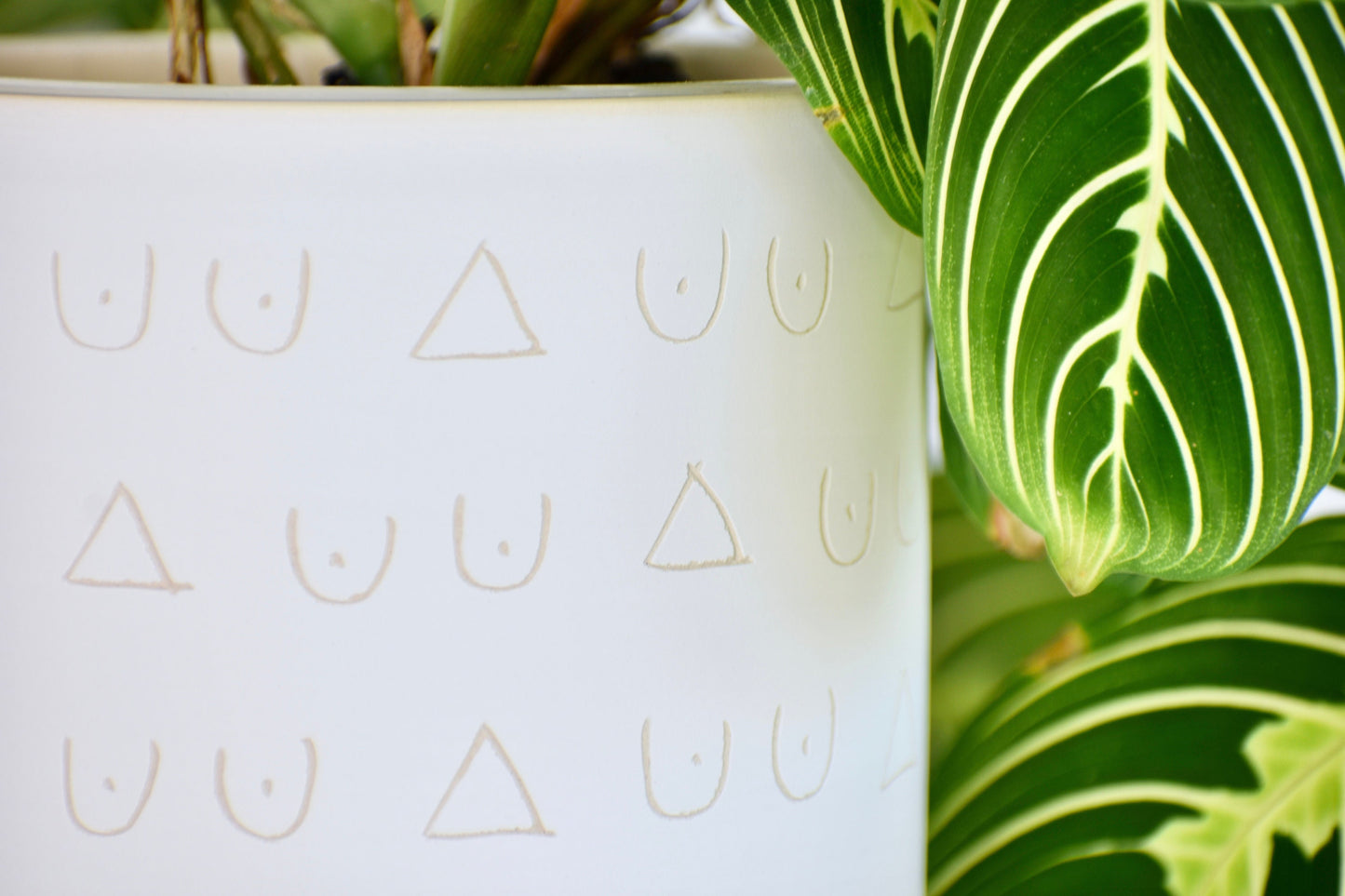 Tatas Hand Carved Plant Pot