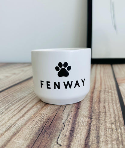 Personalized Pet Memorial Succulent Plant Pot