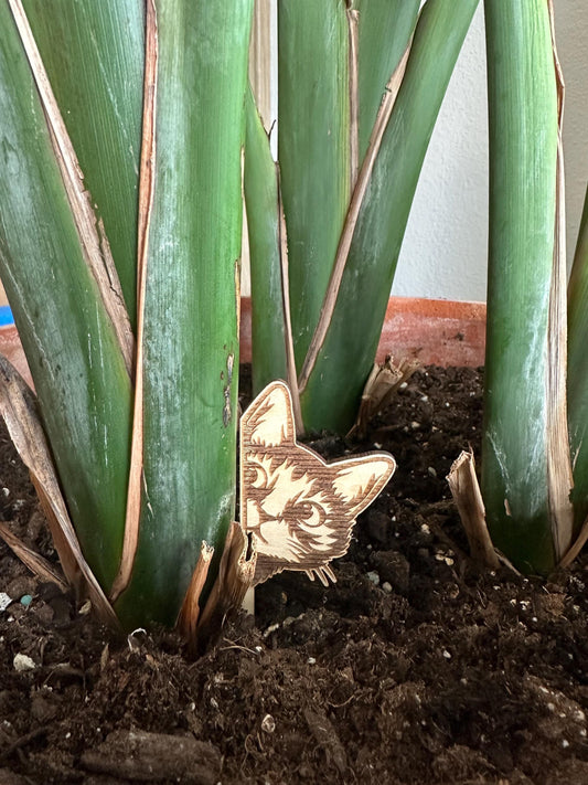 Cat Plant Accessory