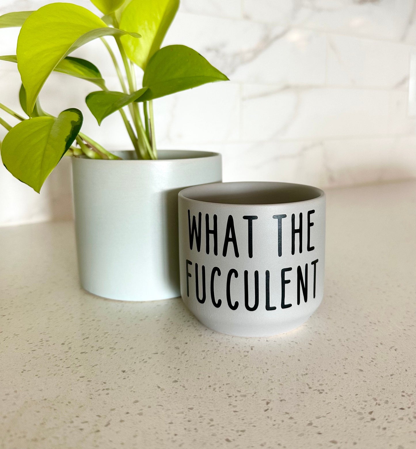What The Fucculent Succulent Plant Pot
