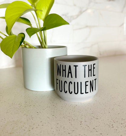 What The Fucculent Succulent Plant Pot