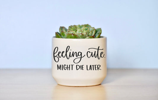 Feeling Cute Might Die Later Succulent Plant Pot