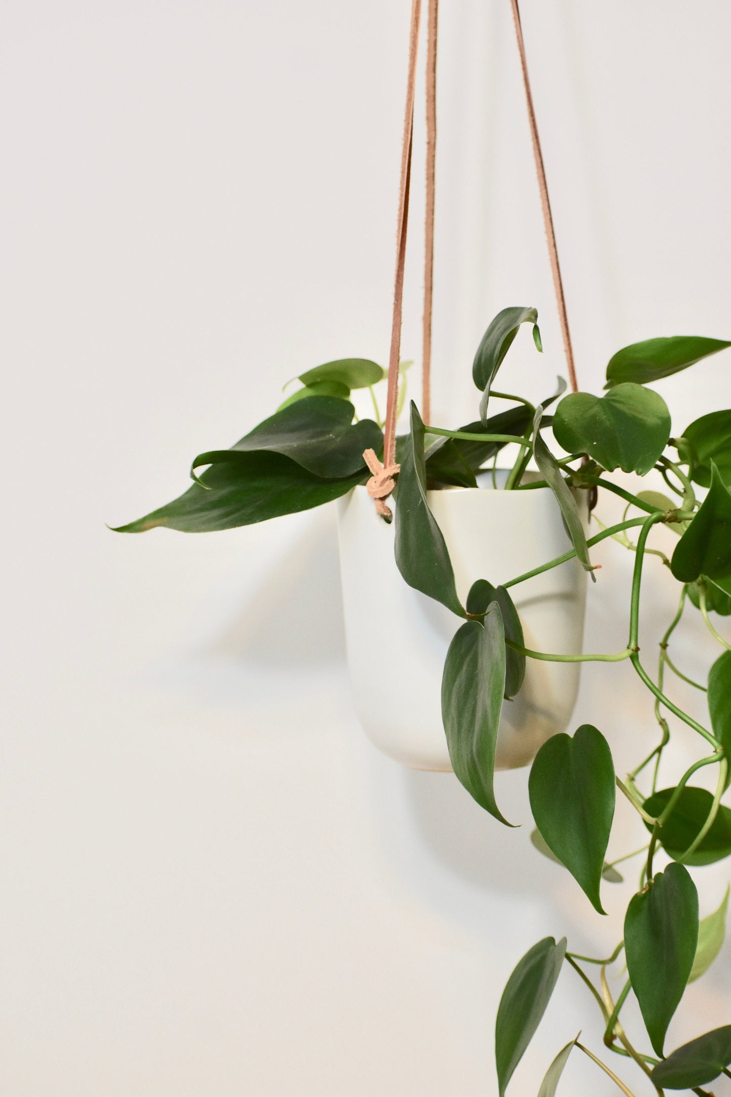 White Ceramic Hanging Ceiling Planter