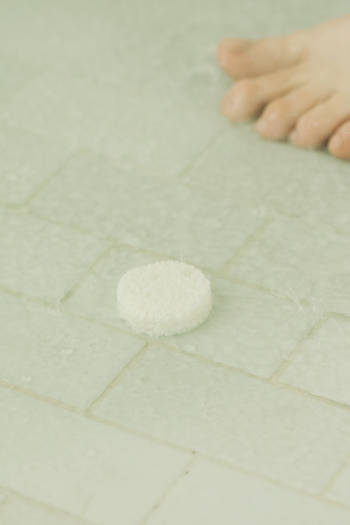 Eucalyptus Shower Steamer