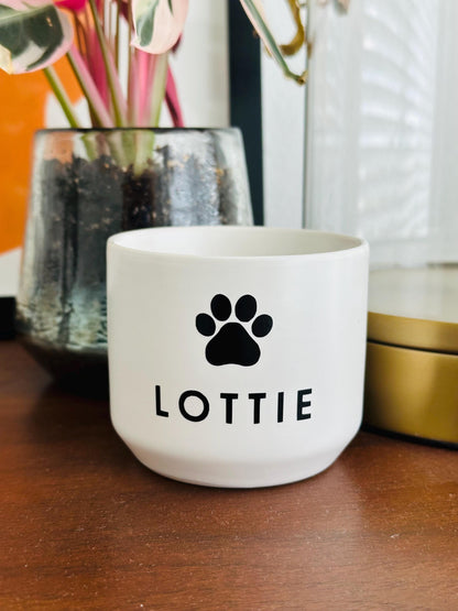 Personalized Pet Memorial Succulent Plant Pot
