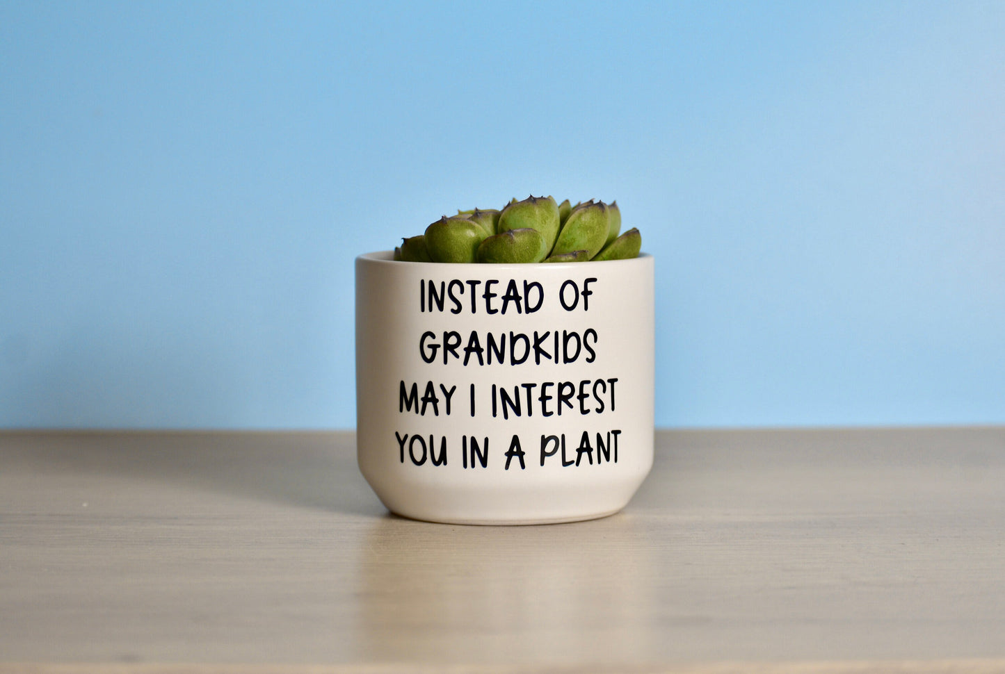 Funny Succulent Plant Pot