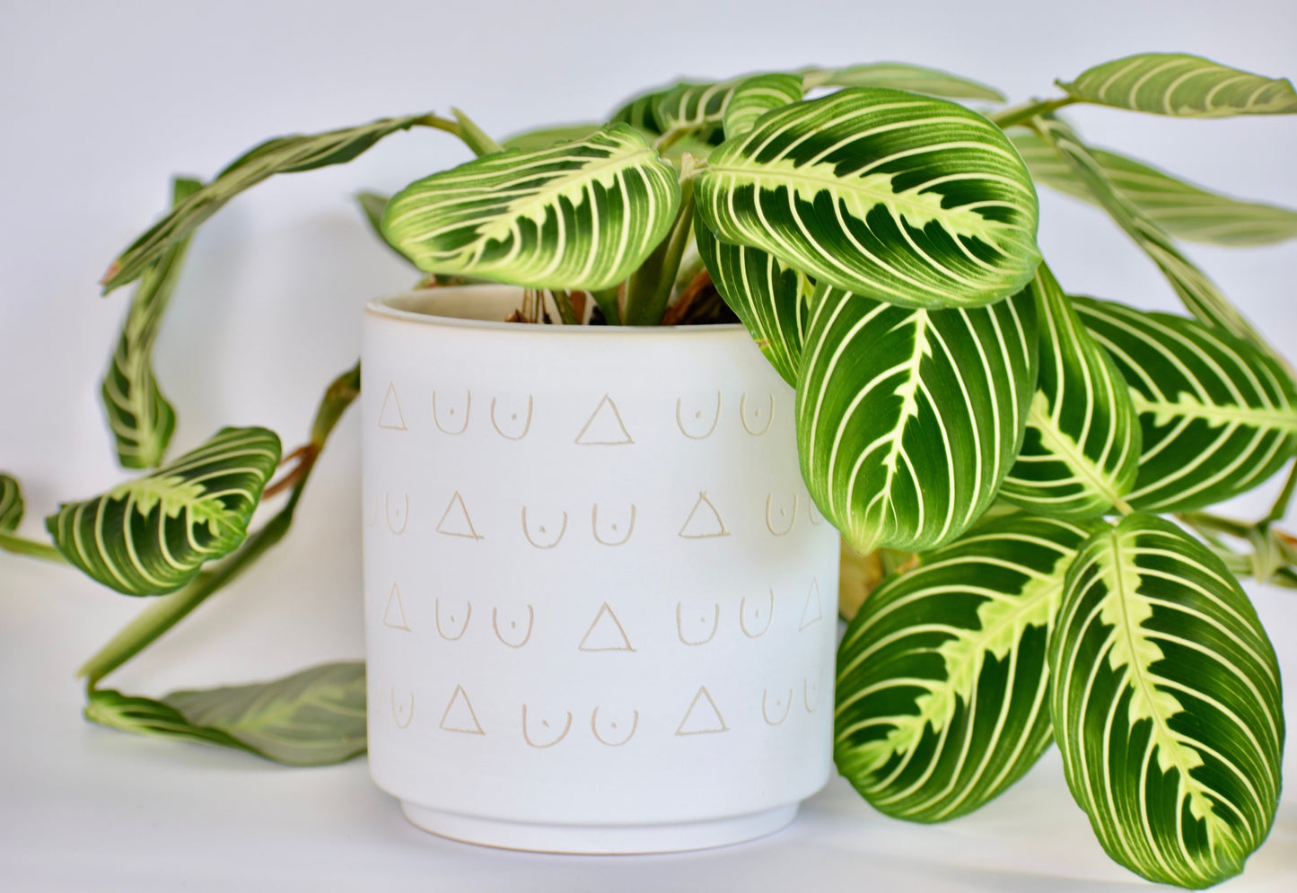 Tatas Hand Carved Plant Pot