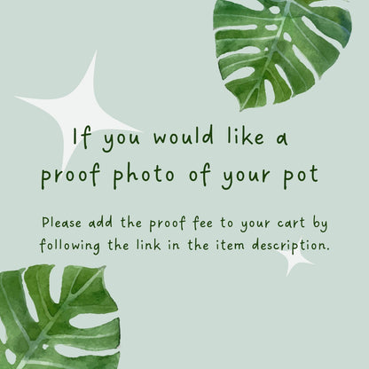 Funny Succulent Ceramic Planter