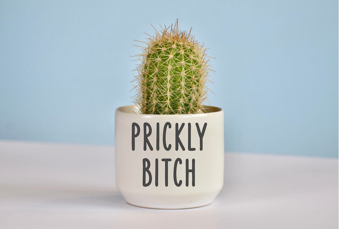 Funny Succulent Ceramic Planter
