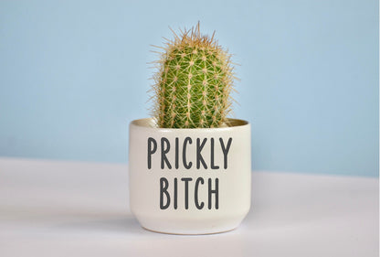 Funny Succulent Ceramic Planter