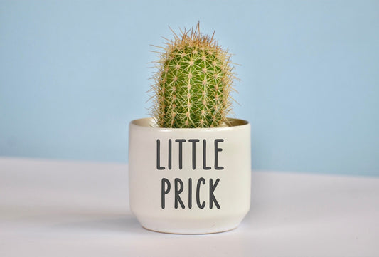Little Prick Succulent Plant Pot