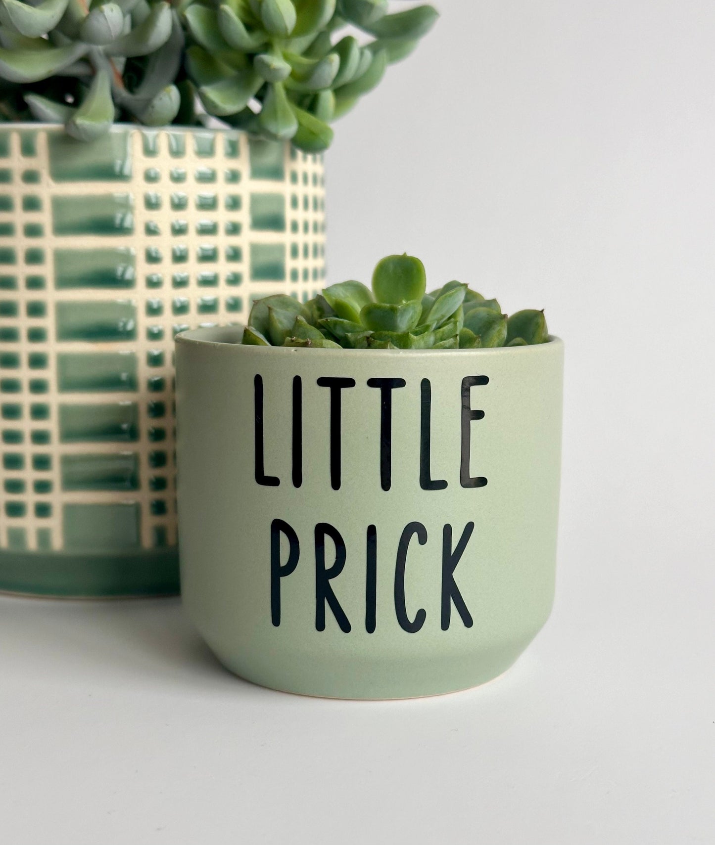 Little Prick Succulent Plant Pot