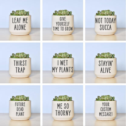 Custom Ceramic Plant Pot