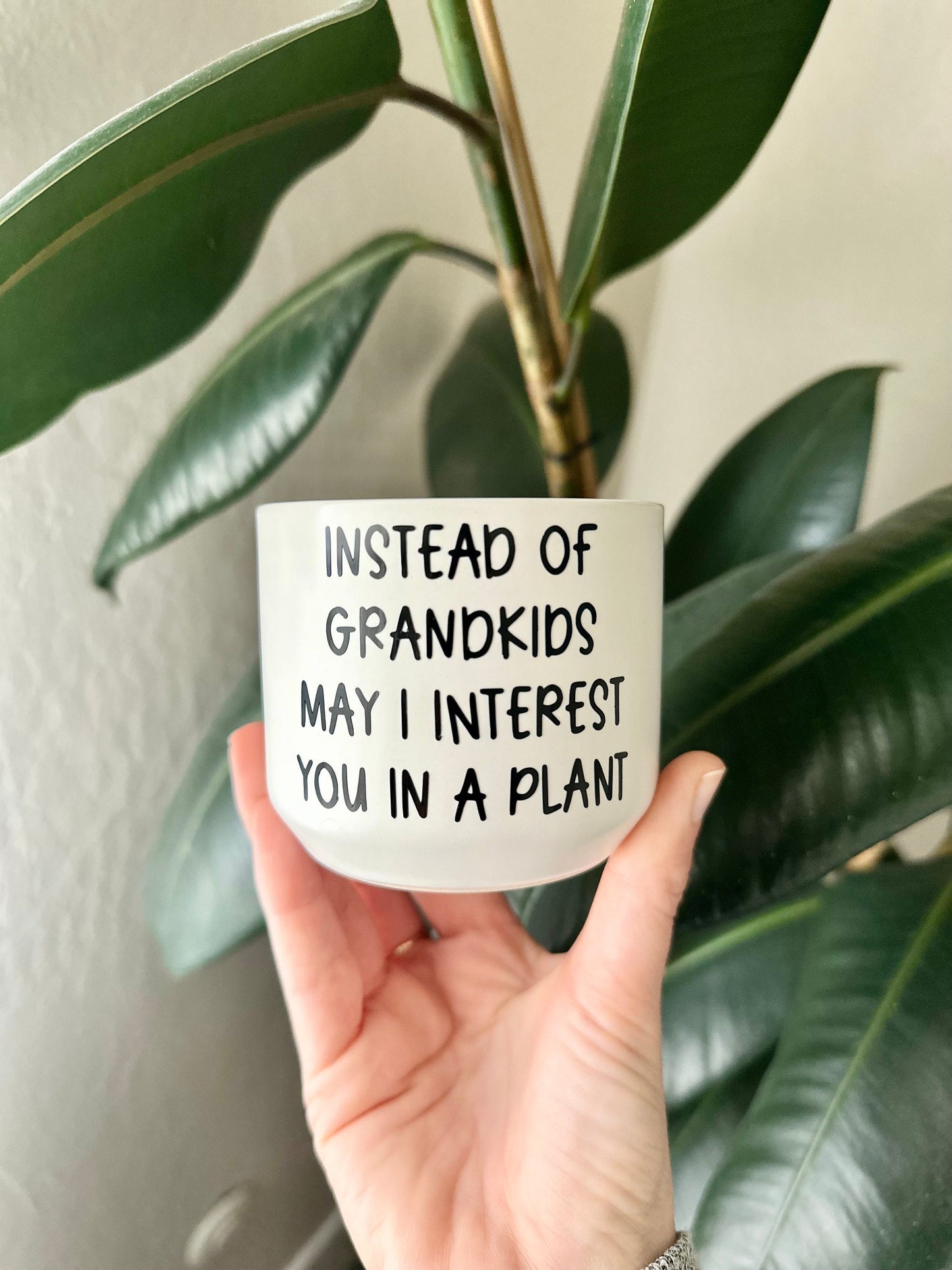 Funny Succulent Plant Pot